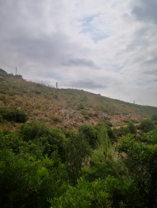 Subasta de otros en Chiva el 6 de abril de 2026