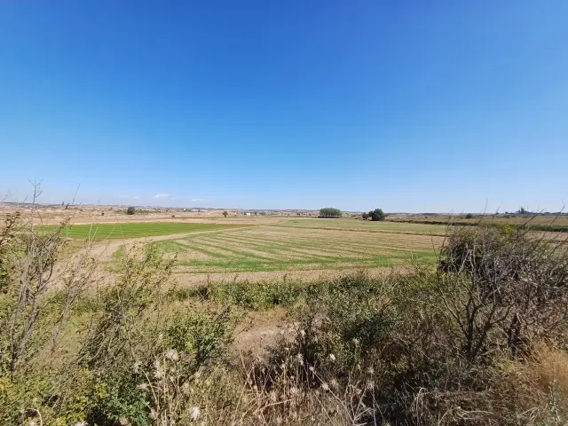 Subasta de finca rústica en Tarrega el 23 de marzo de 2026