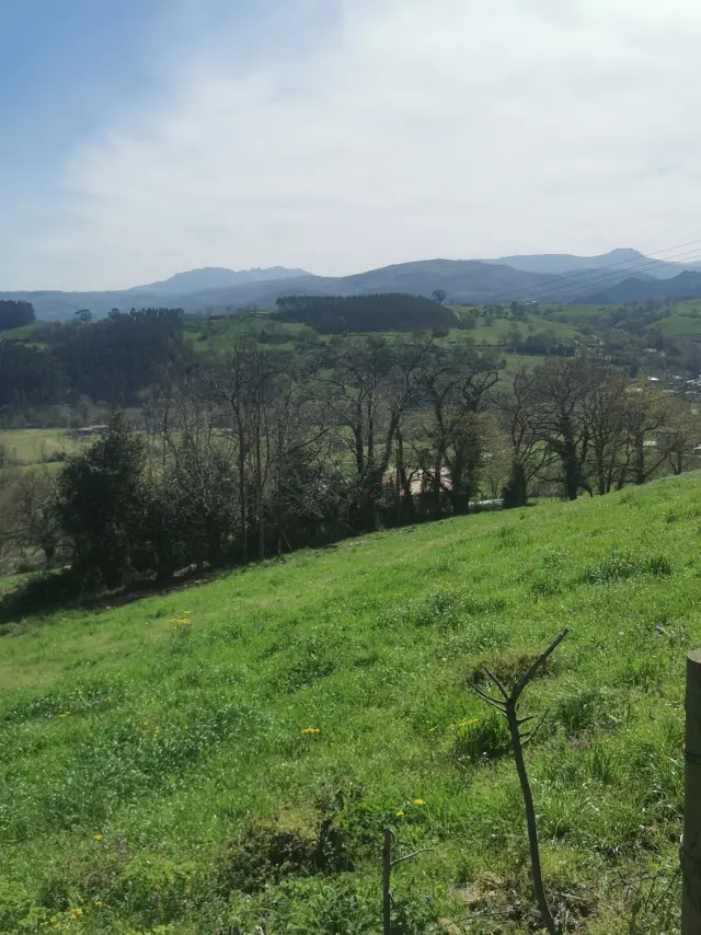 Subasta de finca rústica en Medio Cudeyo el 20 de abril de 2026