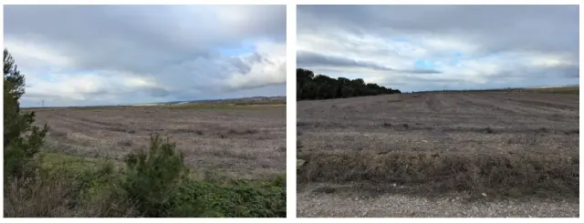 Subasta de finca rústica en Lodosa el 6 de abril de 2026