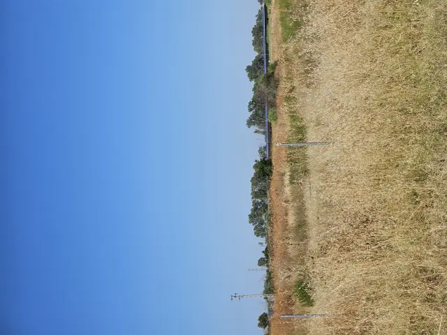 Subasta de solar en Santiponce el 23 de marzo de 2026