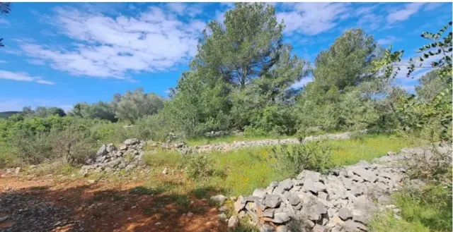 Subasta de finca rústica en Cervera Del Maestre el 6 de abril de 2026