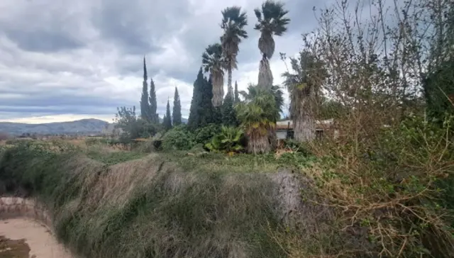 Subasta de finca rústica en Castellon De La Plana el 20 de abril de 2026