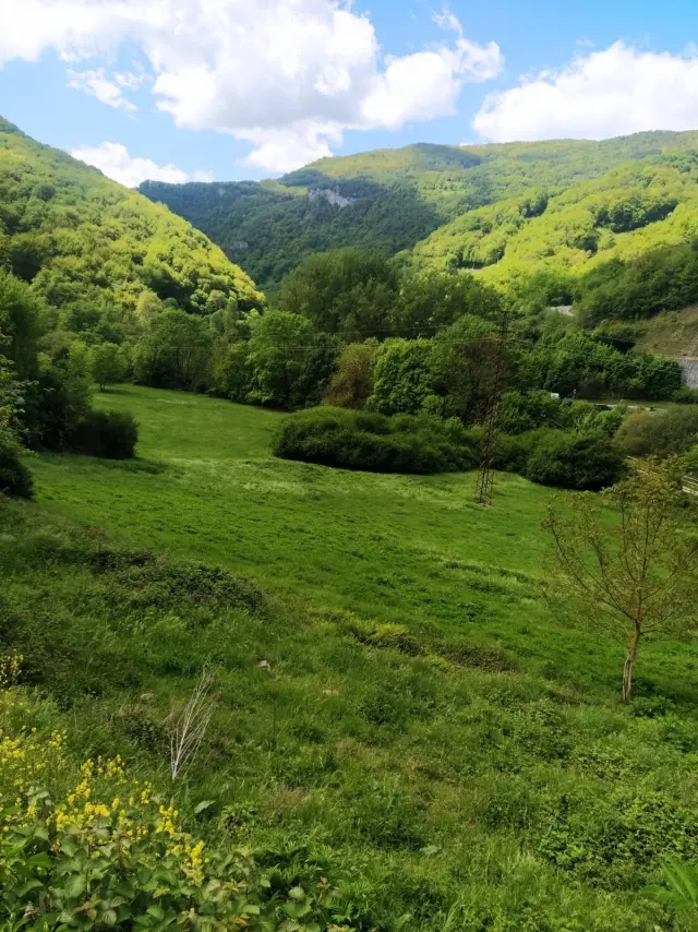 Subasta de finca rústica en Latasa el 6 de abril de 2026