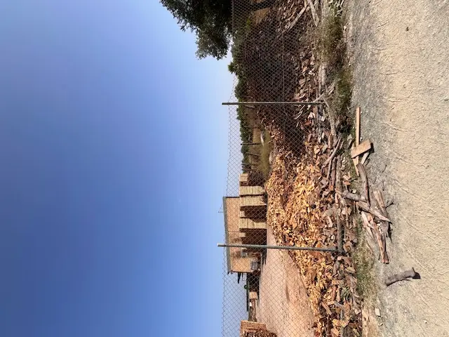 Subasta de finca rústica en Aznalcazar el 20 de abril de 2026