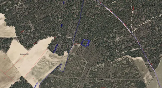 Subasta de finca rústica en Zarza (la) el 23 de marzo de 2026