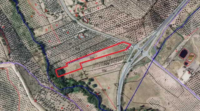 Subasta de finca rústica en Arroyo Del Ojanco el 23 de marzo de 2026