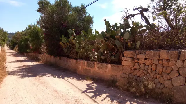 Subasta de vivienda en Llucmajor el 20 de abril de 2026