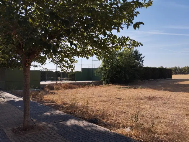 Subasta de otros en Torralba De Calatrava el 20 de abril de 2026