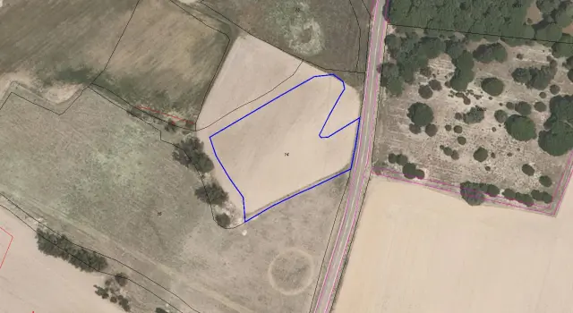 Subasta de finca rústica en Zarza (la) el 30 de marzo de 2026