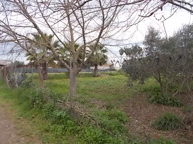 Subasta de finca rústica en Cordoba el 23 de marzo de 2026