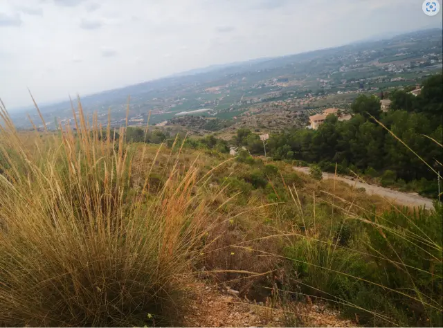 Subasta de otros en Chiva el 6 de abril de 2026