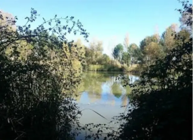 Subasta de finca rústica en Boecillo el 13 de abril de 2026