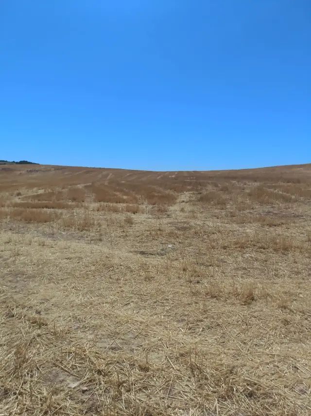 Subasta de finca rústica en Barajas De Melo el 20 de abril de 2026