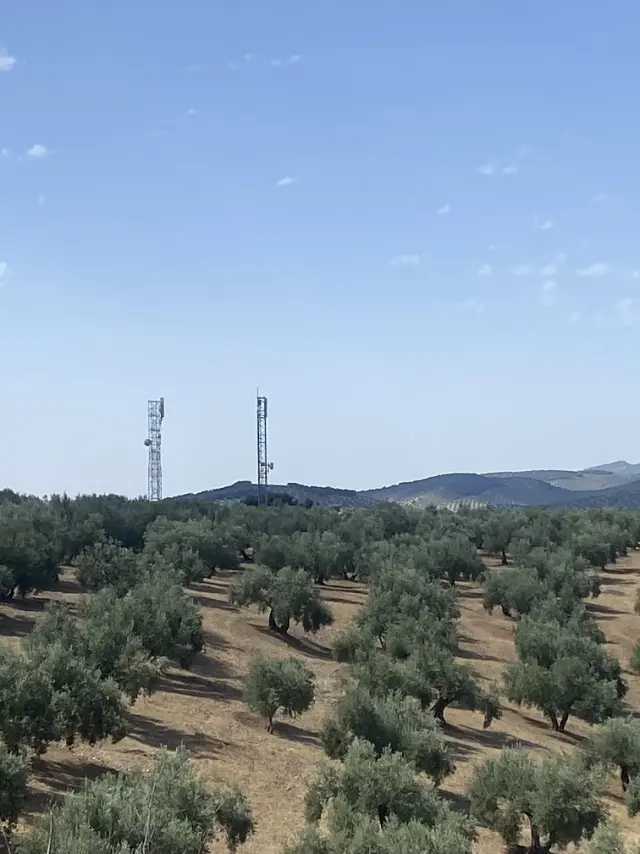 Subasta de finca rústica en Moclin el 6 de abril de 2026