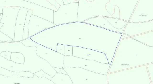 Subasta de finca rústica en Zarza (la) el 23 de marzo de 2026