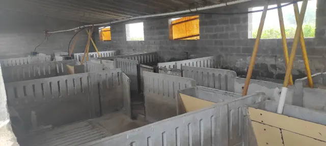 Subasta de finca rústica en Vila-sana el 20 de abril de 2026