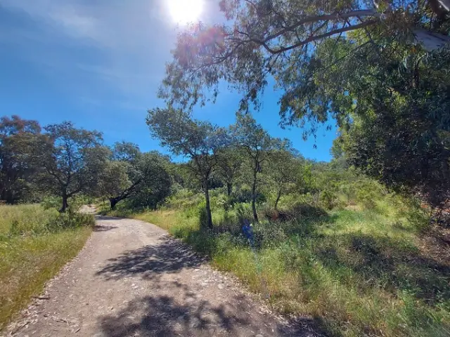 Subasta de finca rústica en El Ronquillo el 6 de abril de 2026