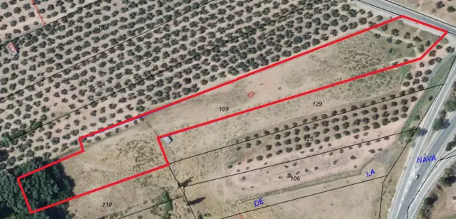 Subasta de finca rústica en Arroyo Del Ojanco el 23 de marzo de 2026