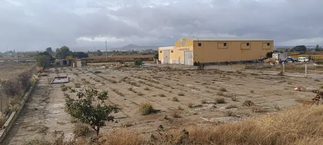 Subasta de finca rústica en Granada el 30 de marzo de 2026