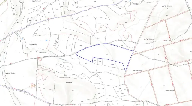 Subasta de finca rústica en Zarza (la) el 23 de marzo de 2026