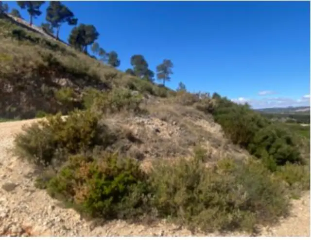 Subasta de finca rústica en Bocairent el 30 de marzo de 2026