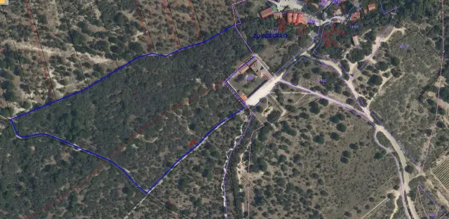 Subasta de finca rústica en Boecillo el 13 de abril de 2026