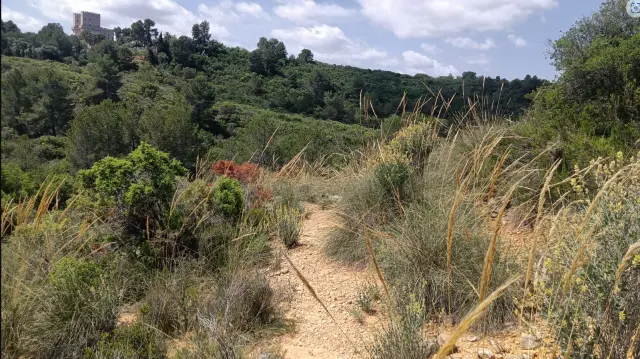 Subasta de finca rústica en Torrent el 6 de abril de 2026