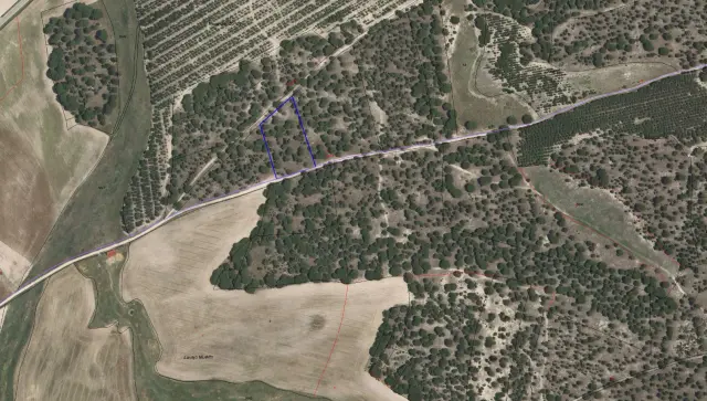 Subasta de finca rústica en Zarza (la) el 30 de marzo de 2026