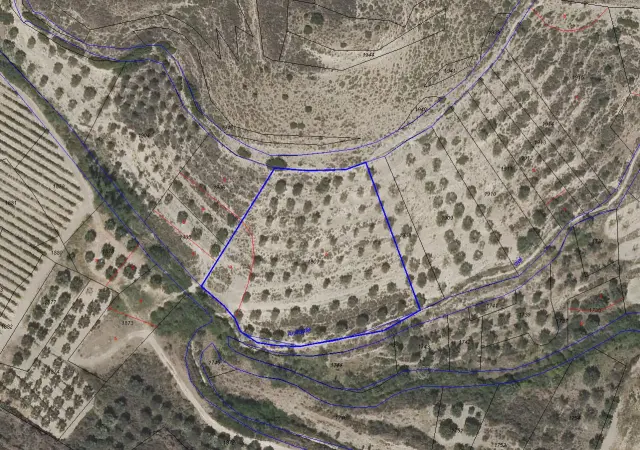 Subasta de finca rústica en Cornago el 6 de abril de 2026