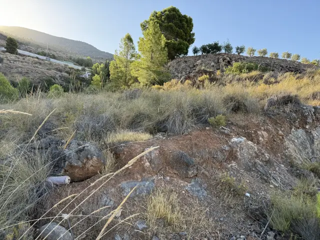 Subasta de solar en Velez De Benaudalla el 30 de marzo de 2026