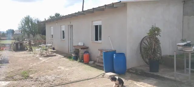 Subasta de finca rústica en Inca el 20 de abril de 2026