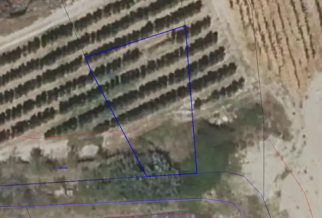 Subasta de finca rústica en Igea el 6 de abril de 2026