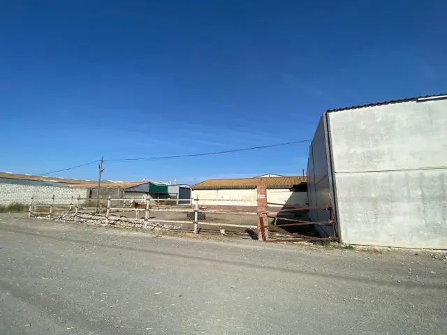 Subasta de nave industrial en Utrera el 23 de marzo de 2026