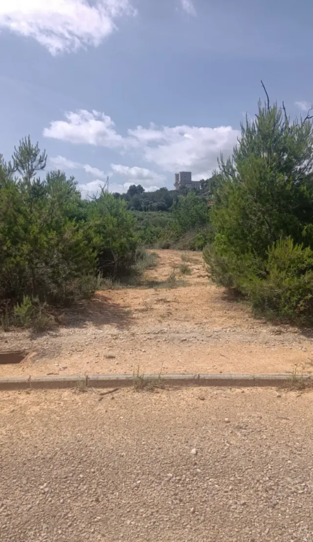 Subasta de finca rústica en Torrent el 6 de abril de 2026