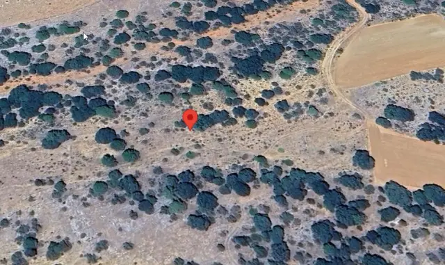 Subasta de otros el 13 de abril de 2026