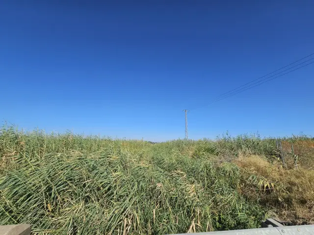 Subasta de solar en Santiponce el 23 de marzo de 2026