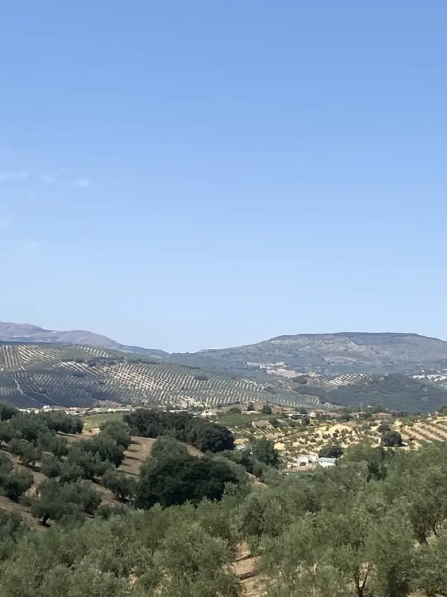 Subasta de finca rústica en Moclin el 6 de abril de 2026