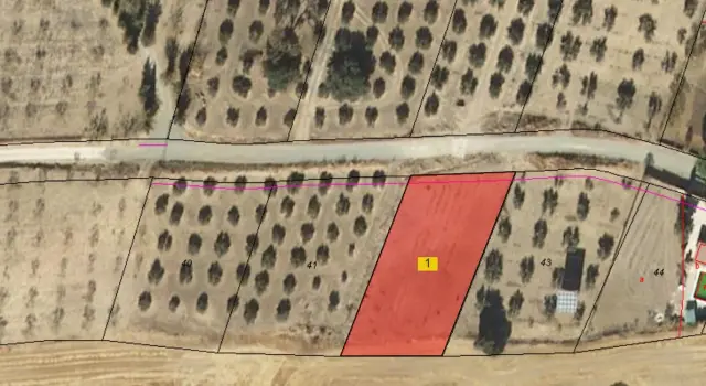 Subasta de finca rústica en Moclin el 6 de abril de 2026