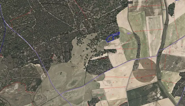 Subasta de finca rústica en Zarza (la) el 23 de marzo de 2026