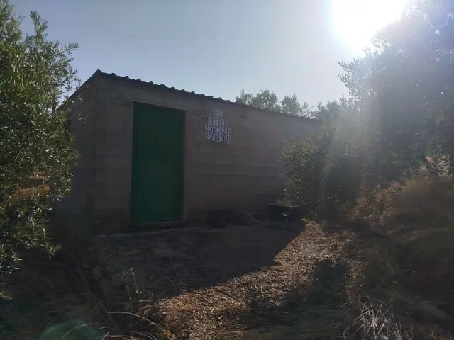 Subasta de finca rústica en Arroyo Del Ojanco el 23 de marzo de 2026