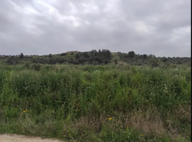 Subasta de finca rústica en Castelldans el 16 de marzo de 2026