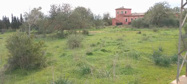 Subasta de vivienda en Llucmajor el 20 de abril de 2026