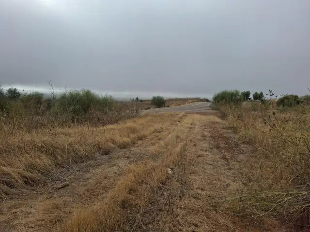 Subasta de finca rústica en Posadas el 20 de abril de 2026