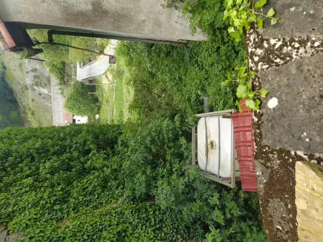 Subasta de solar en Latasa el 6 de abril de 2026