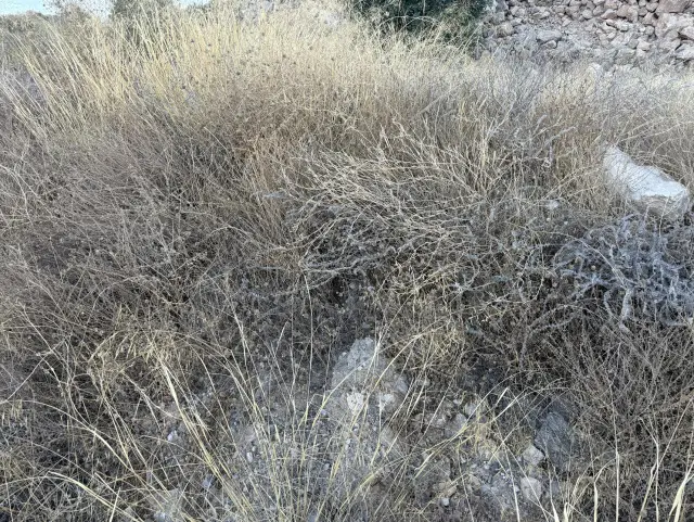 Subasta de solar en Velez De Benaudalla el 30 de marzo de 2026