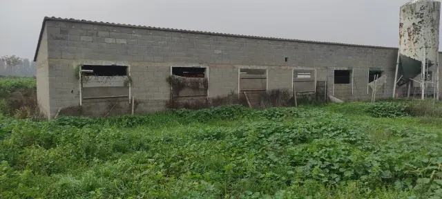 Subasta de finca rústica en Vila-sana el 20 de abril de 2026