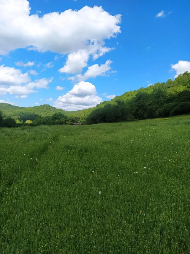 Subasta de finca rústica en Latasa el 6 de abril de 2026