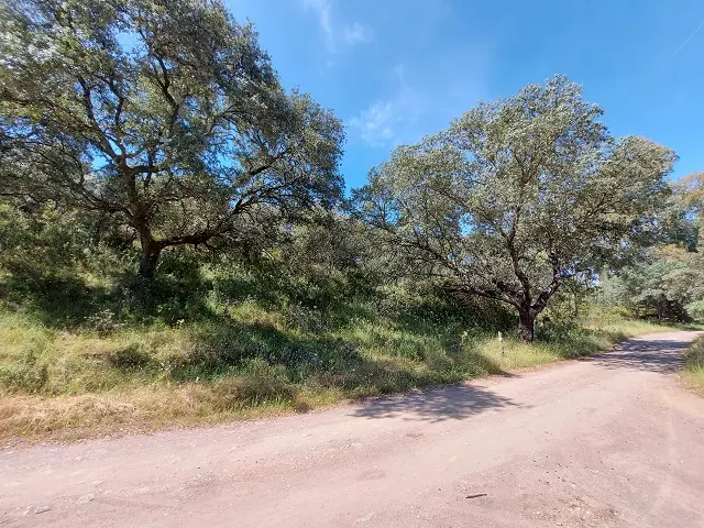 Subasta de finca rústica en El Ronquillo el 6 de abril de 2026