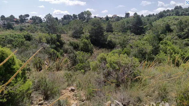 Subasta de finca rústica en Torrent el 6 de abril de 2026